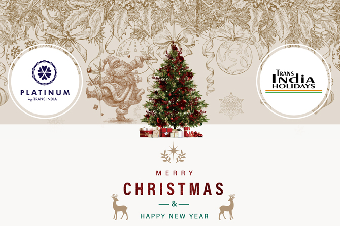 Wrapping up the Year with Gratitude